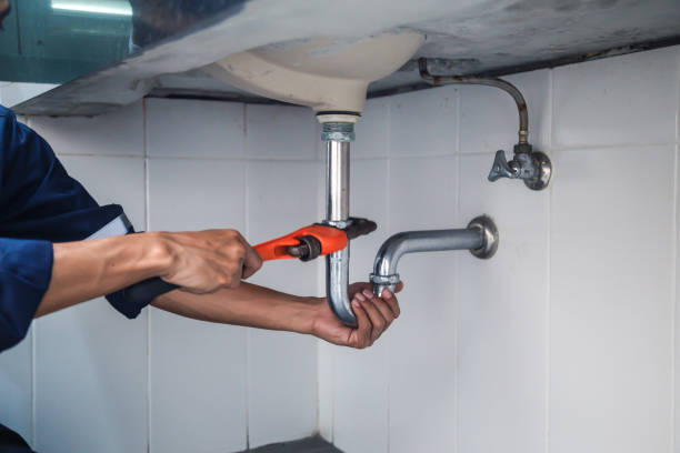 Best Local Plumber Services  in Shenandoah Junction, WV