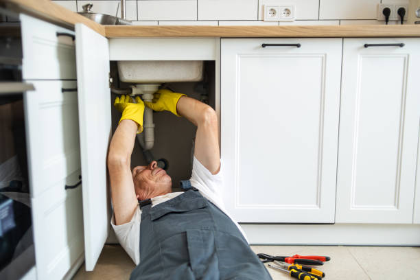 Best Plumbing Services Near Me  in Shenandoah Junction, WV